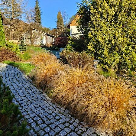 Beskid Ski Villa فيسلا المظهر الخارجي الصورة