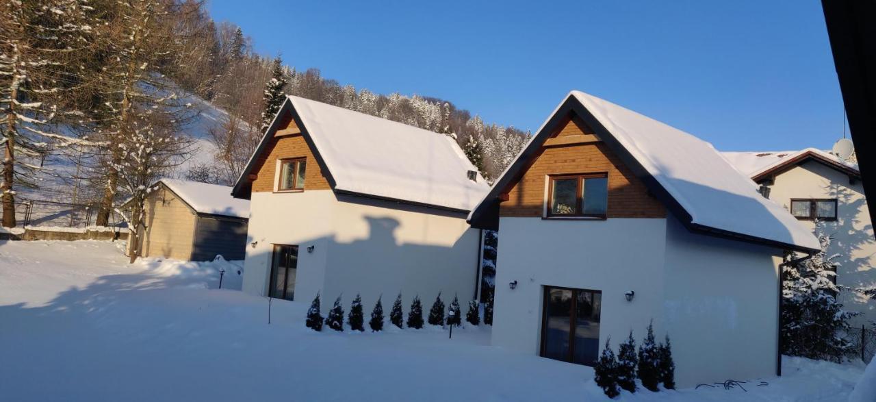 Beskid Ski Villa فيسلا المظهر الخارجي الصورة