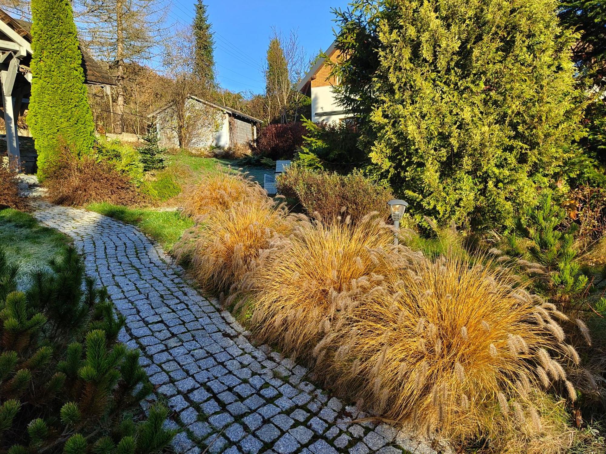 Beskid Ski Villa فيسلا المظهر الخارجي الصورة